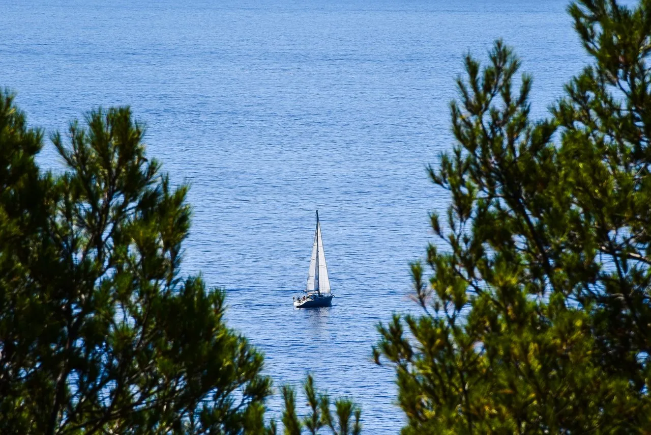 Un voilier au mouillage, aperçu entre les pins